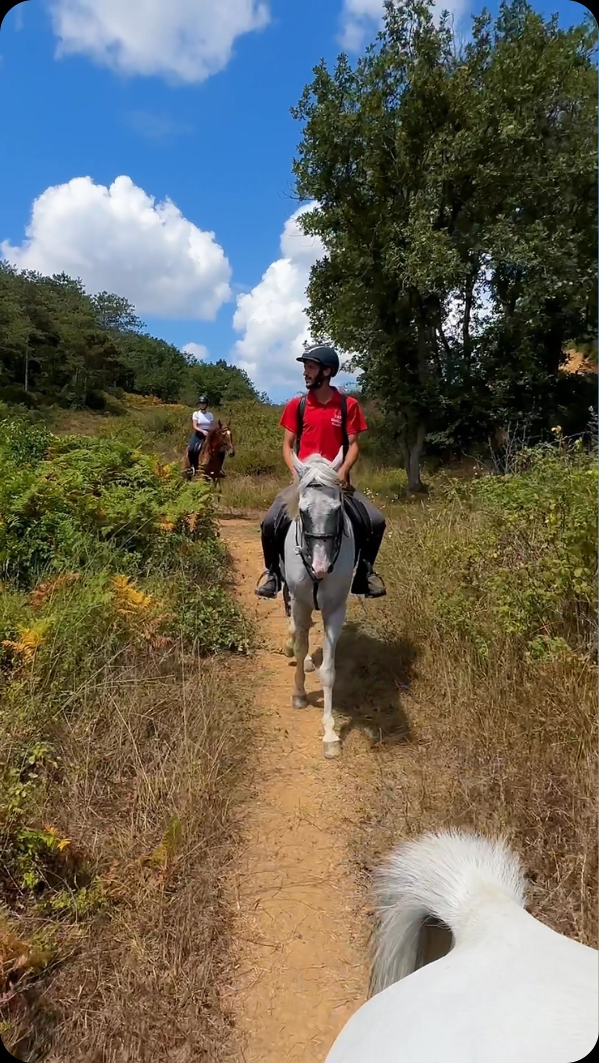 🐎🐎#horse #horseriding #binicilikkulübü #binicilikeğitmeni