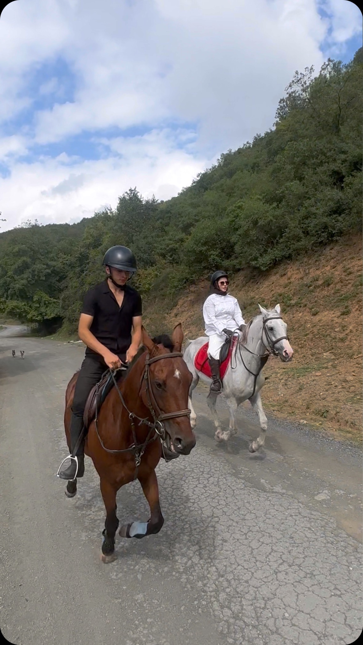 #binicilikkulübü #horse #eğitim #horseriding #binicilikeğitmeni #atli_kizz #enayet_nazary #binicilik #istanbul